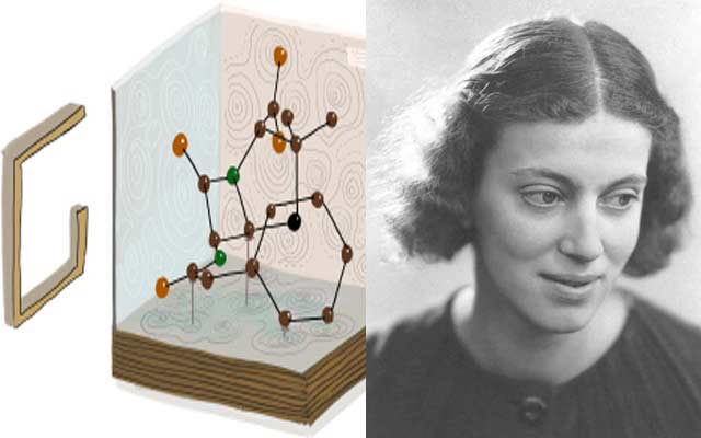 غوغل يحتلف بالذكرى الـ104 لميلاد عالمة الكيمياء دوروثي هودجكن