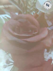 صورة ضبابية لزهرة حمراء