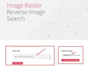 Image Raider كيفية البحث بصورة