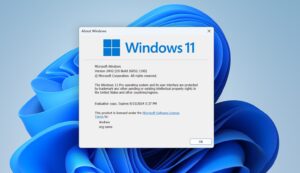 مايكروسوفت ويندوز 11