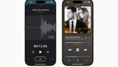 أبل آيفون 16 برو