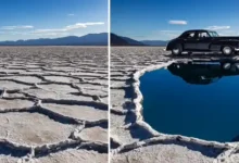 شرح تعديل الصور بالذكاء الاصطناعي