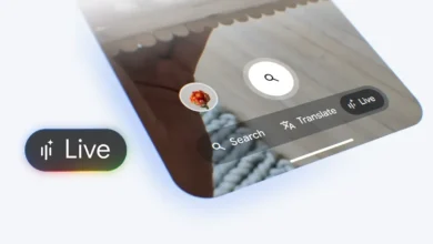 ميزة Search Live تتيح البحث من خلال الصوت والصورة