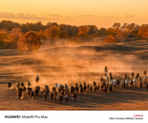 صورة نشرها رئيس شركة هواوي ملتقطة بهاتف Mate 80 Pro Max