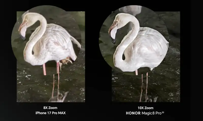 Image Credits: Honor