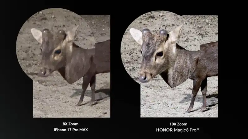 Image Credits: Honor