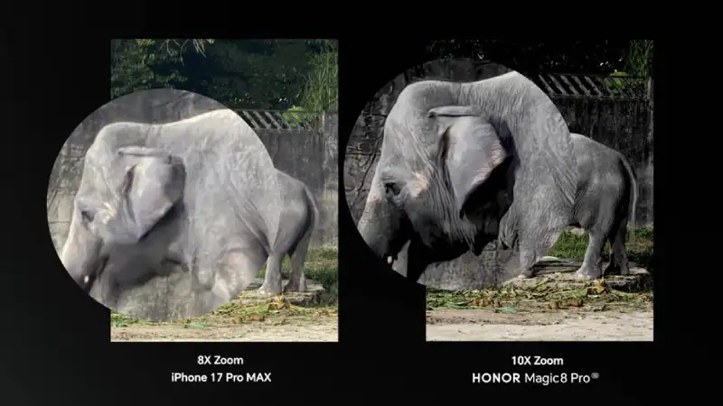 Image Credits: Honor